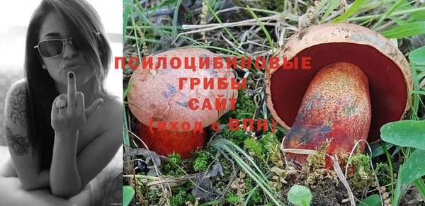 МДПВ Зеленодольск