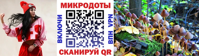 Галлюциногенные грибы Magic Shrooms  Купить где  Нолинск 